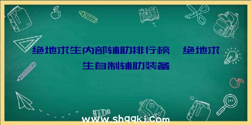 绝地求生内部辅助排行榜、绝地求生自制辅助装备