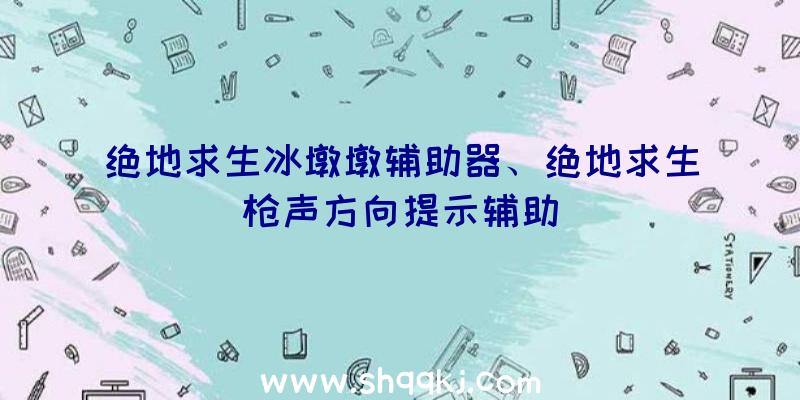 绝地求生冰墩墩辅助器、绝地求生枪声方向提示辅助