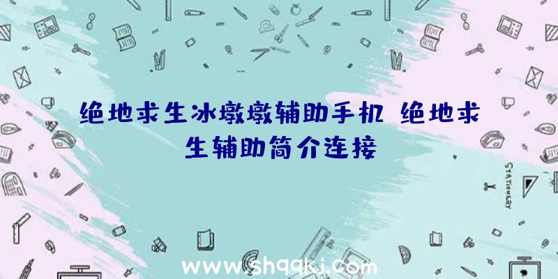 绝地求生冰墩墩辅助手机、绝地求生辅助简介连接