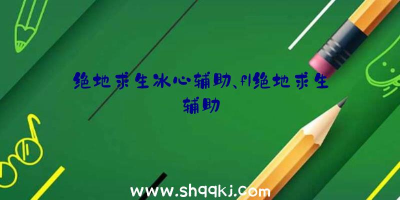 绝地求生冰心辅助、fl绝地求生辅助