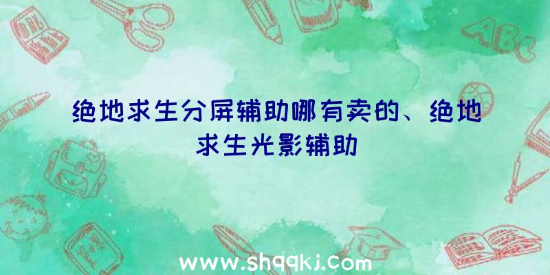 绝地求生分屏辅助哪有卖的、绝地求生光影辅助