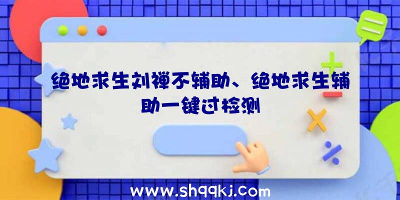 绝地求生刘禅不辅助、绝地求生辅助一键过检测