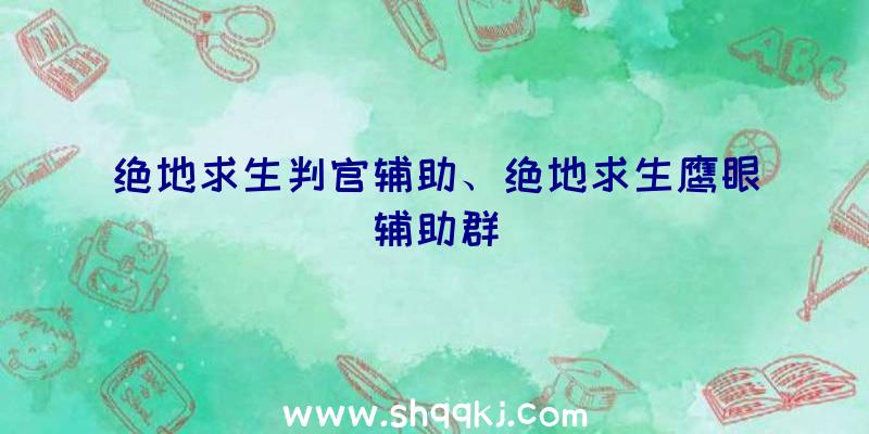 绝地求生判官辅助、绝地求生鹰眼辅助群