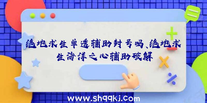 绝地求生单透辅助封号吗、绝地求生海洋之心辅助破解