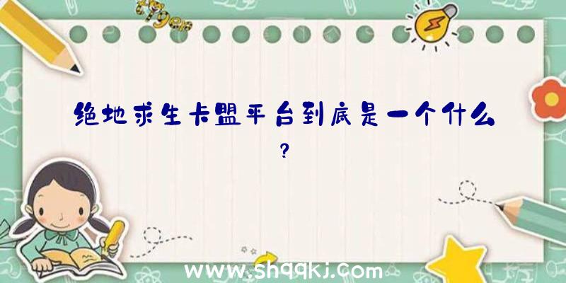 绝地求生卡盟平台到底是一个什么？