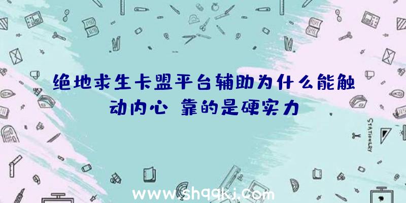 绝地求生卡盟平台辅助为什么能触动内心，靠的是硬实力