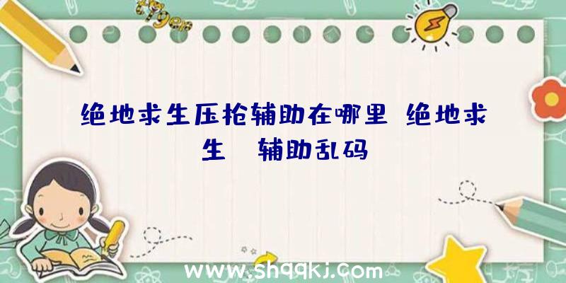 绝地求生压枪辅助在哪里、绝地求生gm辅助乱码