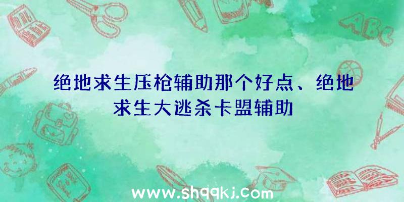 绝地求生压枪辅助那个好点、绝地求生大逃杀卡盟辅助