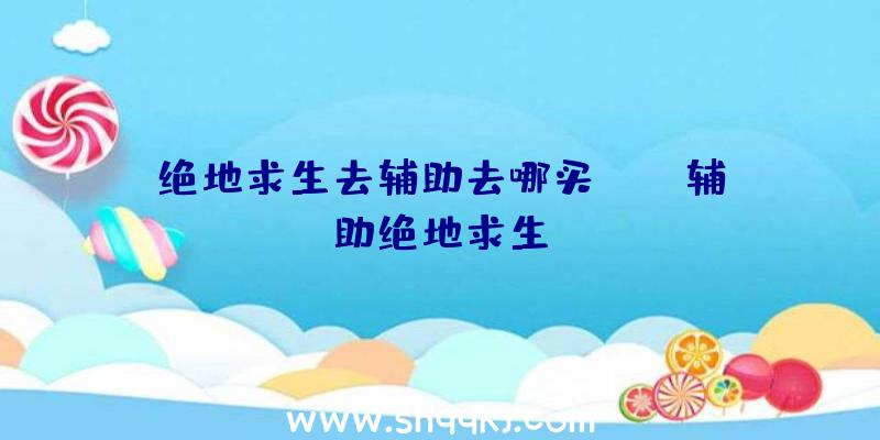 绝地求生去辅助去哪买、tab辅助绝地求生