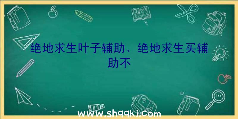 绝地求生叶子辅助、绝地求生买辅助不