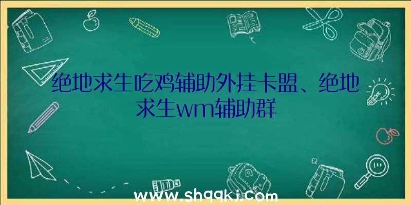 绝地求生吃鸡辅助外挂卡盟、绝地求生wm辅助群