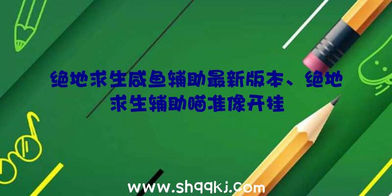 绝地求生咸鱼辅助最新版本、绝地求生辅助瞄准像开挂