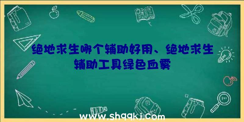 绝地求生哪个辅助好用、绝地求生辅助工具绿色血雾