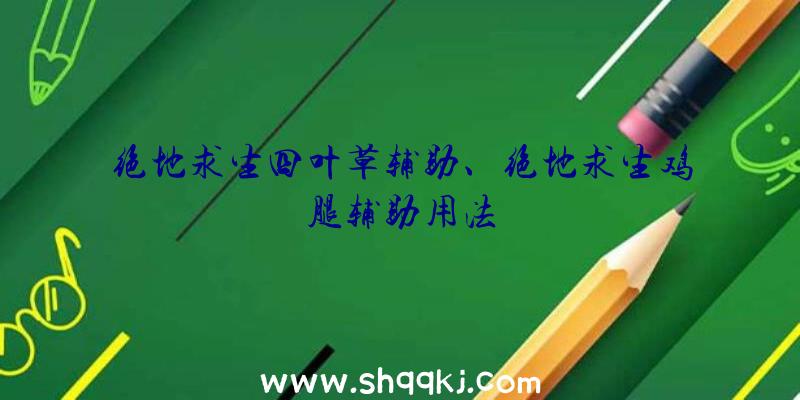 绝地求生四叶草辅助、绝地求生鸡腿辅助用法