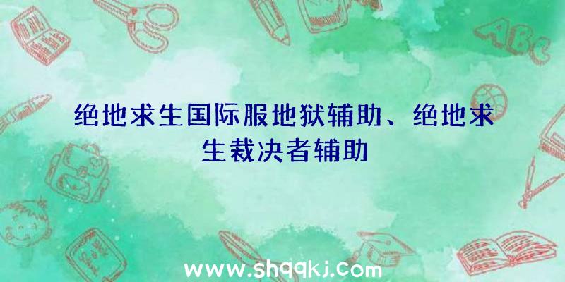 绝地求生国际服地狱辅助、绝地求生裁决者辅助