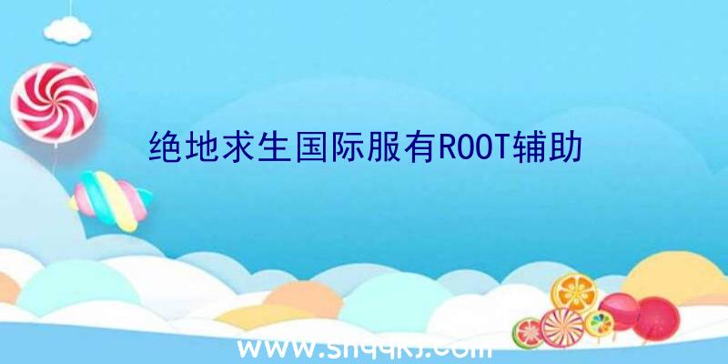 绝地求生国际服有ROOT辅助