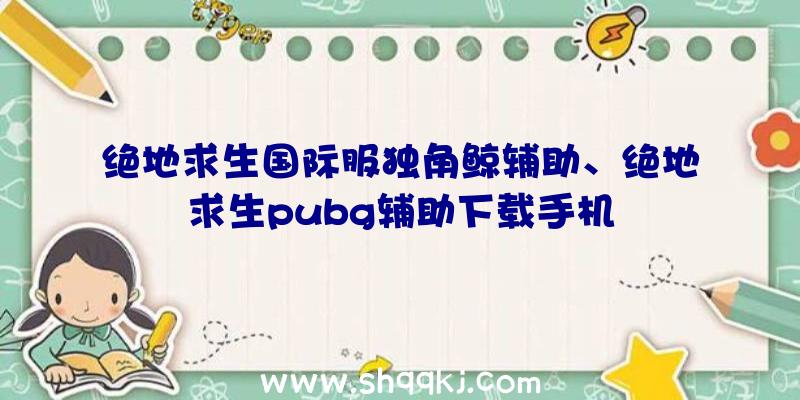 绝地求生国际服独角鲸辅助、绝地求生pubg辅助下载手机