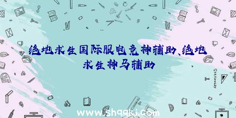 绝地求生国际服电竞神辅助、绝地求生神马辅助