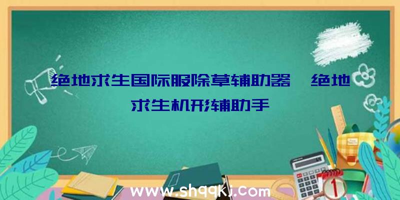 绝地求生国际服除草辅助器、绝地求生机形辅助手