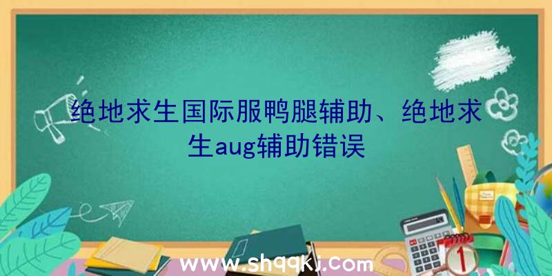 绝地求生国际服鸭腿辅助、绝地求生aug辅助错误