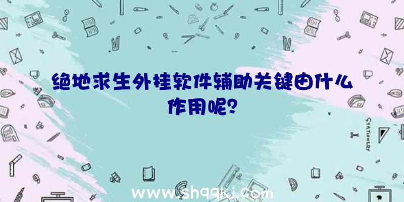 绝地求生外挂软件辅助关键由什么作用呢？