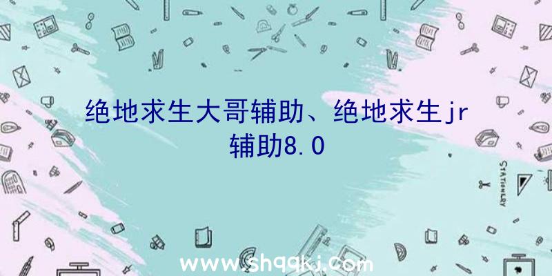 绝地求生大哥辅助、绝地求生jr辅助8.0