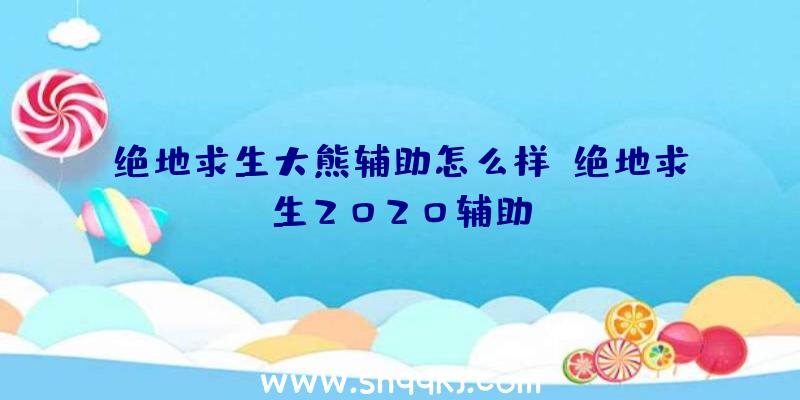 绝地求生大熊辅助怎么样、绝地求生2020辅助