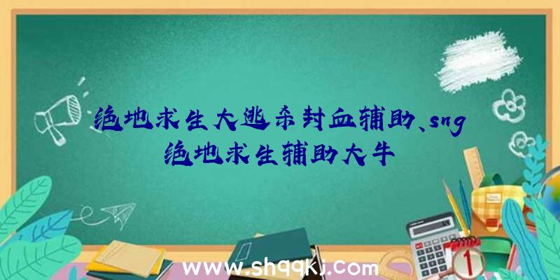 绝地求生大逃杀封血辅助、sng绝地求生辅助大牛