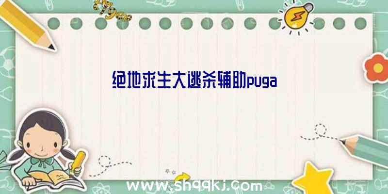 绝地求生大逃杀辅助puga