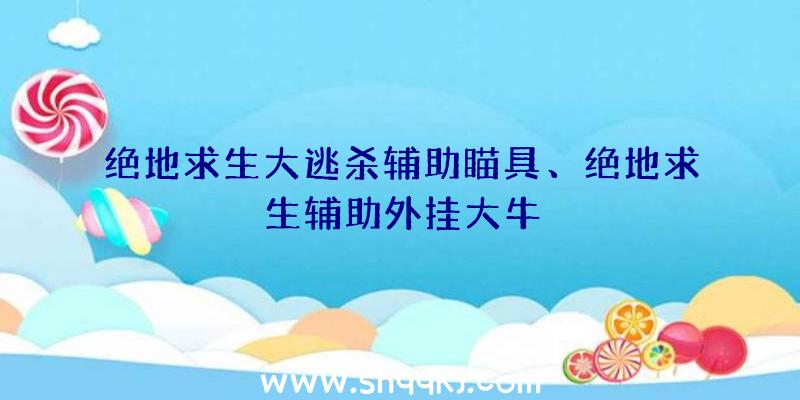 绝地求生大逃杀辅助瞄具、绝地求生辅助外挂大牛