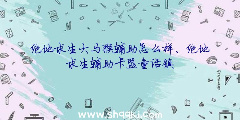 绝地求生大马猴辅助怎么样、绝地求生辅助卡盟童话镇