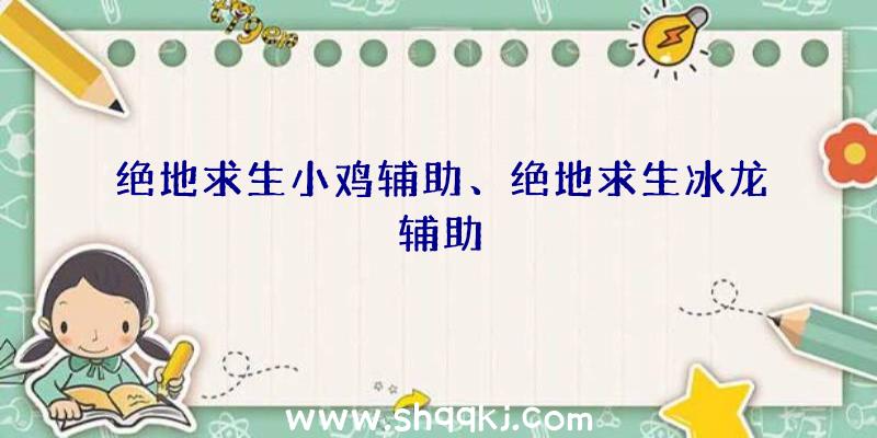 绝地求生小鸡辅助、绝地求生冰龙辅助