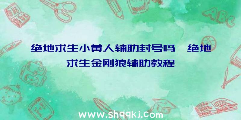 绝地求生小黄人辅助封号吗、绝地求生金刚狼辅助教程