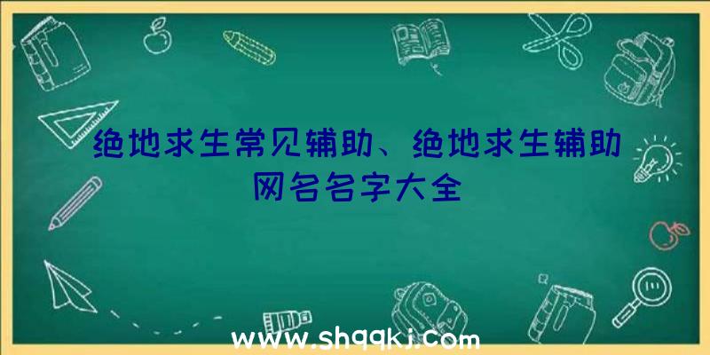 绝地求生常见辅助、绝地求生辅助网名名字大全