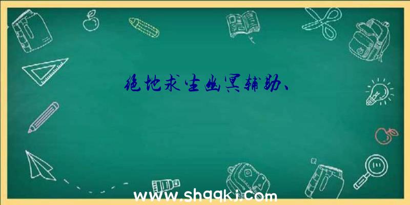 绝地求生幽冥辅助、