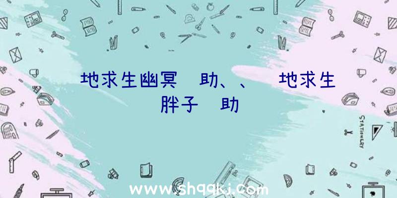 绝地求生幽冥辅助、、绝地求生蓝胖子辅助