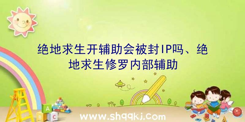 绝地求生开辅助会被封IP吗、绝地求生修罗内部辅助