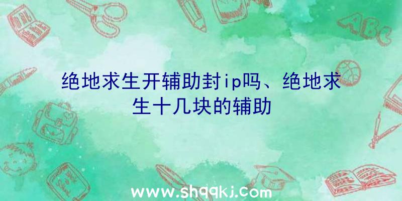 绝地求生开辅助封ip吗、绝地求生十几块的辅助