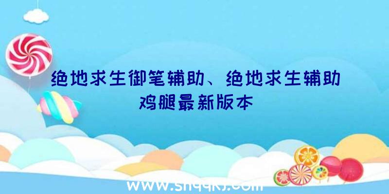 绝地求生御笔辅助、绝地求生辅助鸡腿最新版本