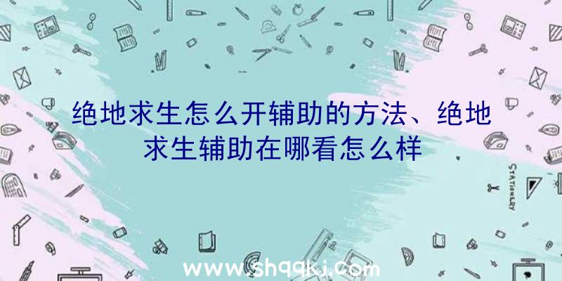 绝地求生怎么开辅助的方法、绝地求生辅助在哪看怎么样