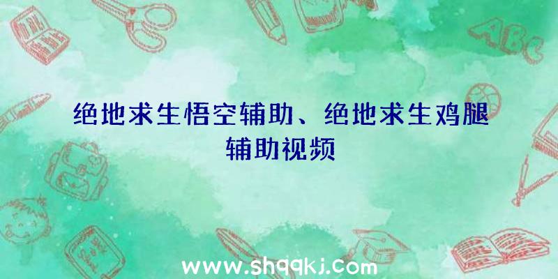 绝地求生悟空辅助、绝地求生鸡腿辅助视频