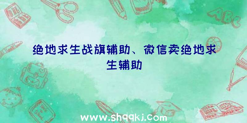 绝地求生战旗辅助、微信卖绝地求生辅助