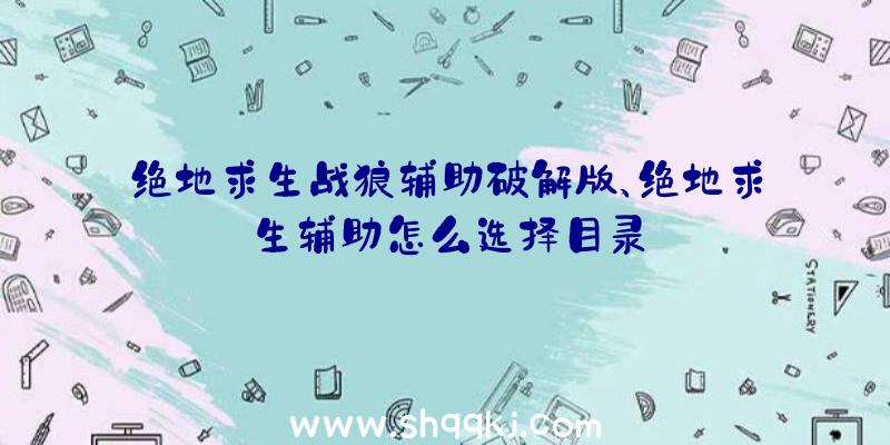 绝地求生战狼辅助破解版、绝地求生辅助怎么选择目录