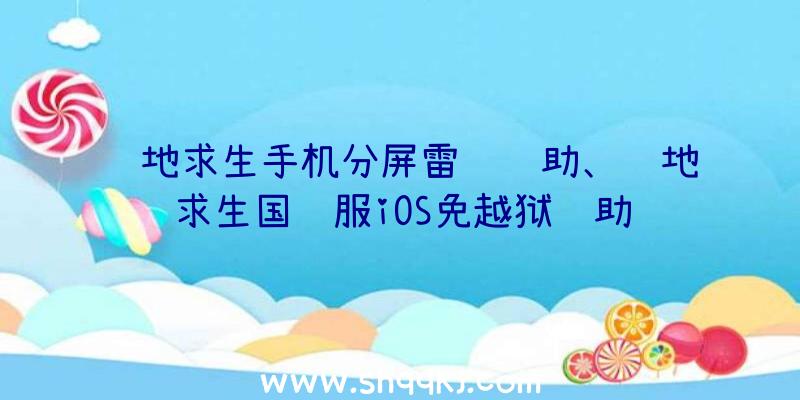 绝地求生手机分屏雷达辅助、绝地求生国际服iOS免越狱辅助