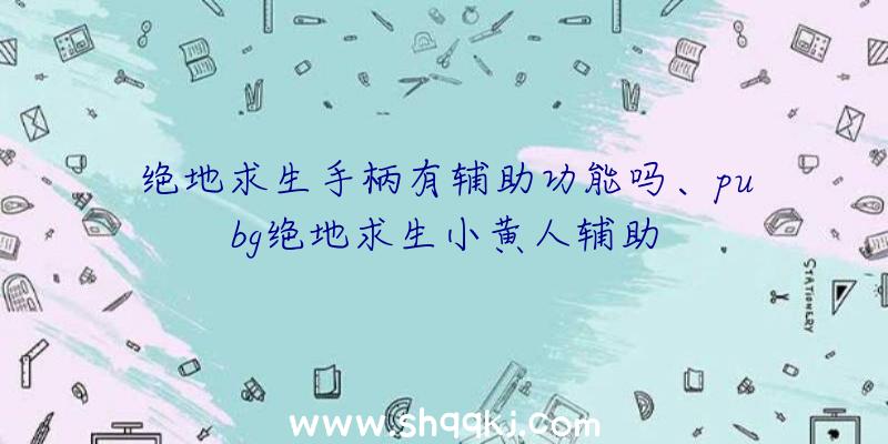 绝地求生手柄有辅助功能吗、pubg绝地求生小黄人辅助