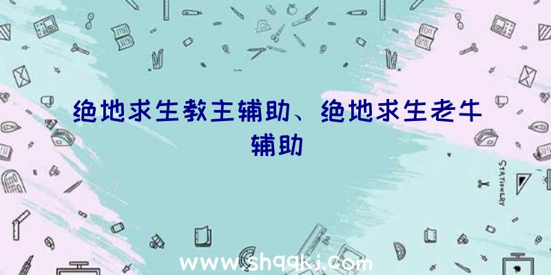 绝地求生教主辅助、绝地求生老牛辅助