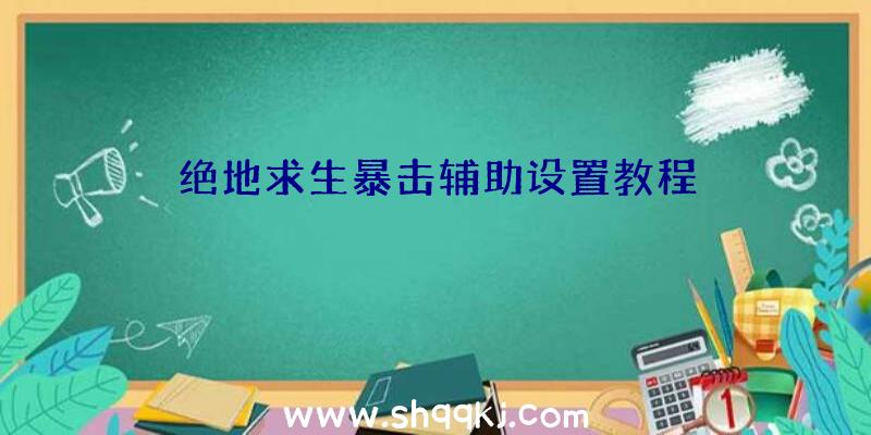 绝地求生暴击辅助设置教程