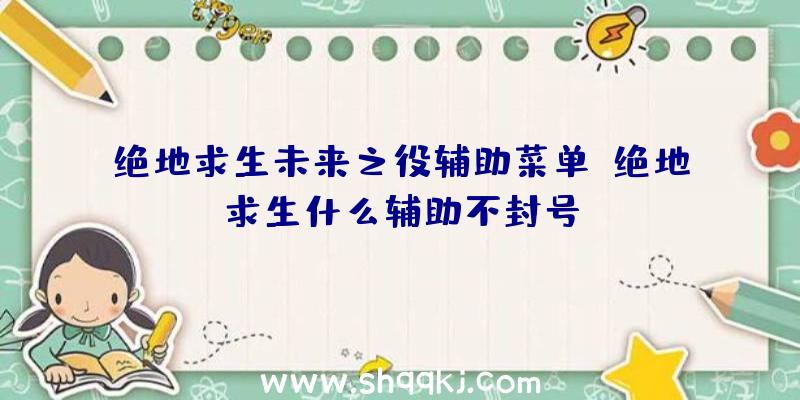 绝地求生未来之役辅助菜单、绝地求生什么辅助不封号