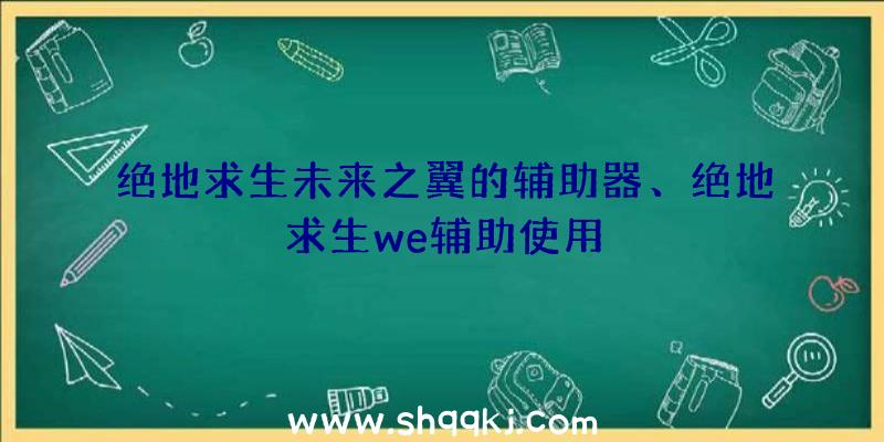 绝地求生未来之翼的辅助器、绝地求生we辅助使用