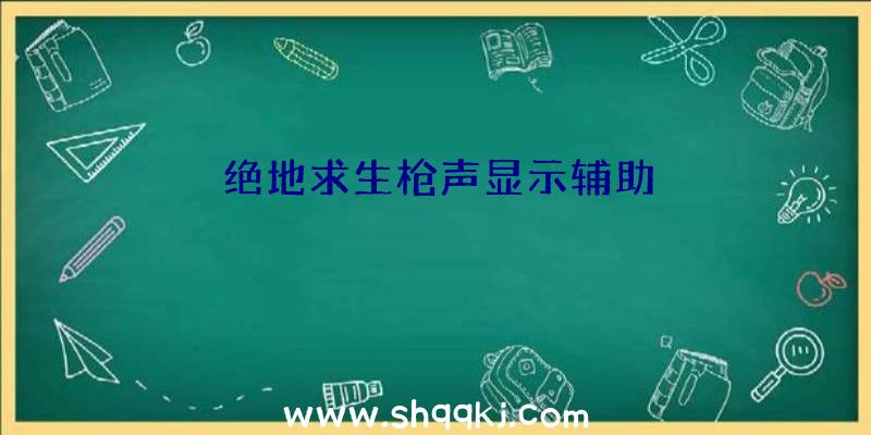 绝地求生枪声显示辅助